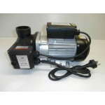 Spa Heated Pump 1.5HP with 2Kw Heater  LX Pumps EH-150